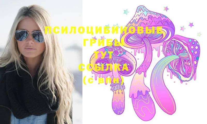 Псилоцибиновые грибы Magic Shrooms  Магадан 